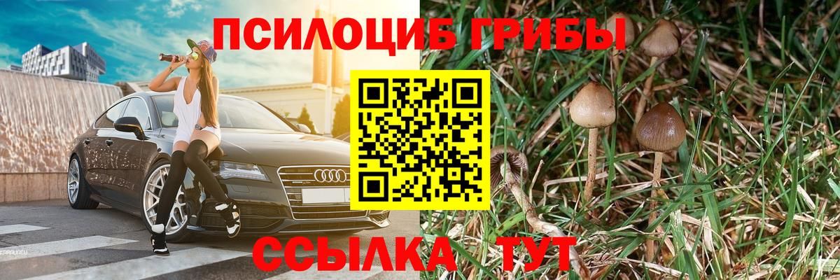 Абинск  Псилоцибиновые грибы ЛСД  Галлюциногенные грибы Magic Shrooms  Вход с VPN 